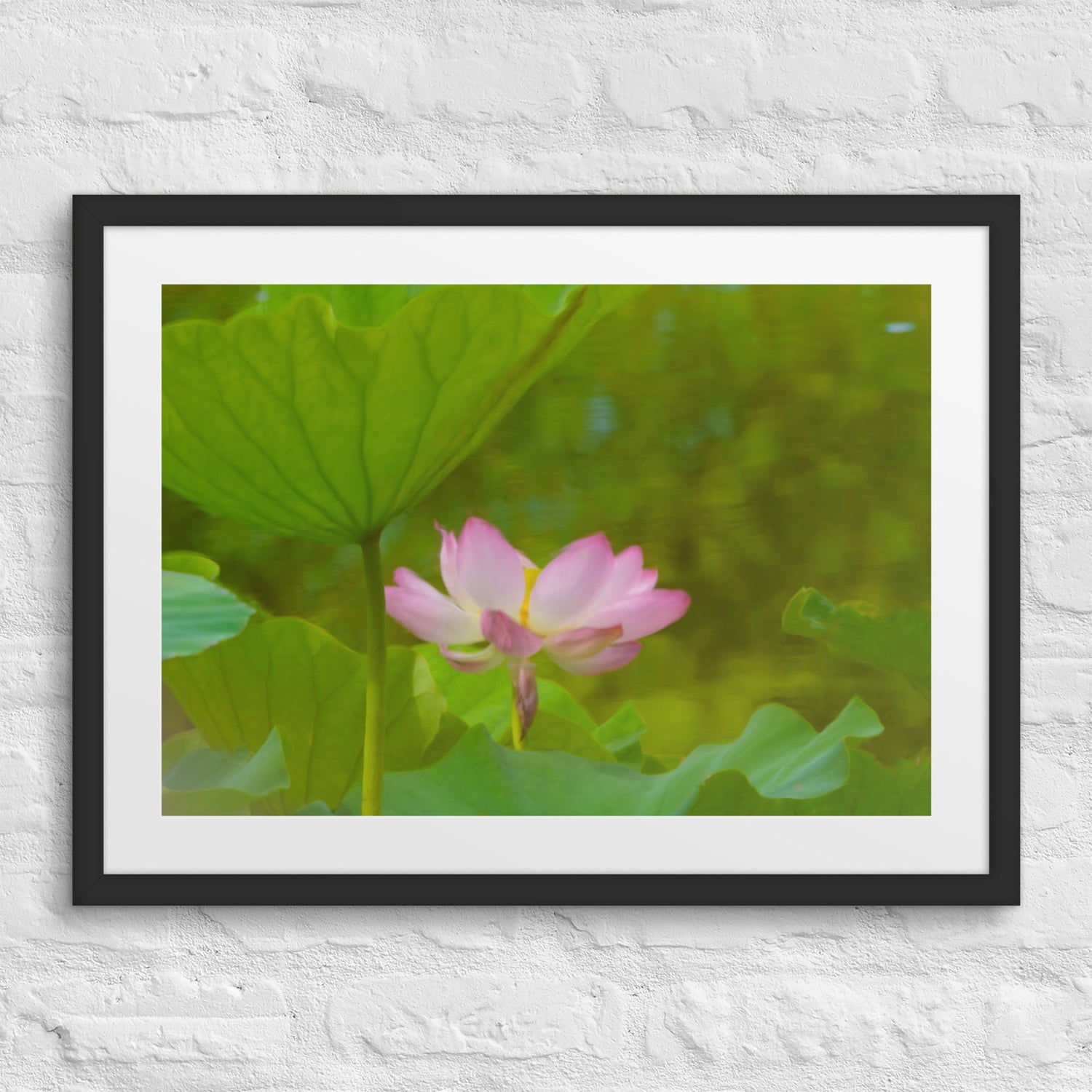 Framed photo print of a pink lotus blossom among large green leaves, with soft lighting and a dreamy, nature-inspired blur. The artwork is displayed on a white brick wall in a black frame with white matting.