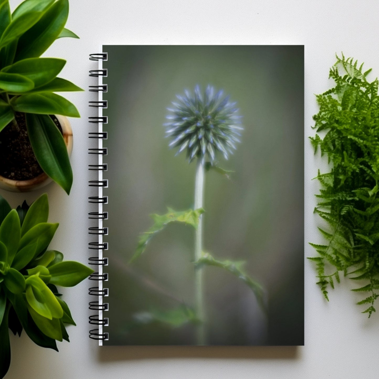 Steel Blue Quiet Echinops Garden Journal